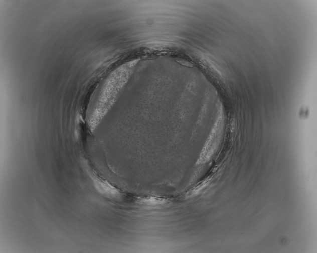 X0000096130868200802011146