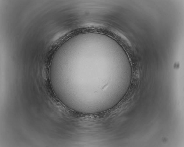 X0000096130869200802011146