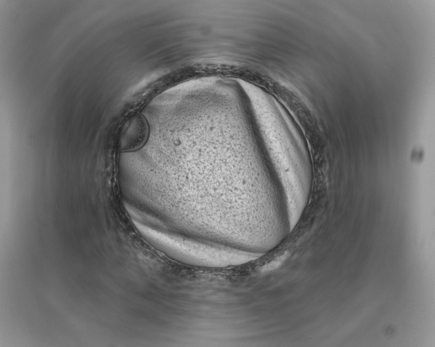 X0000096130870200802011146
