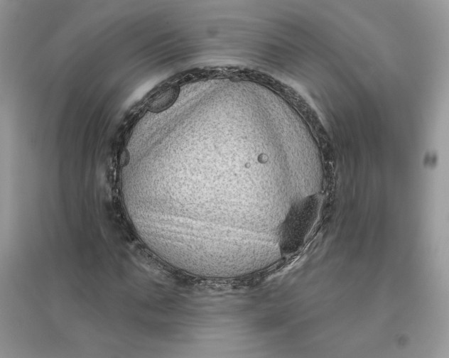 X0000096130871200802011146