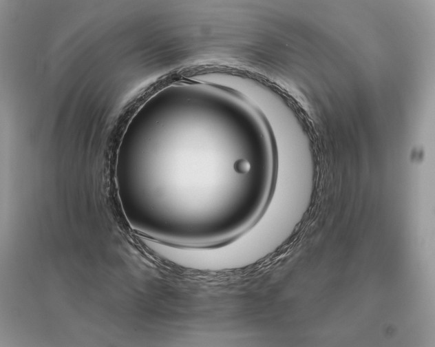 X0000096130872200802011146