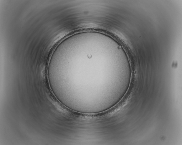 X0000096130873200802011146