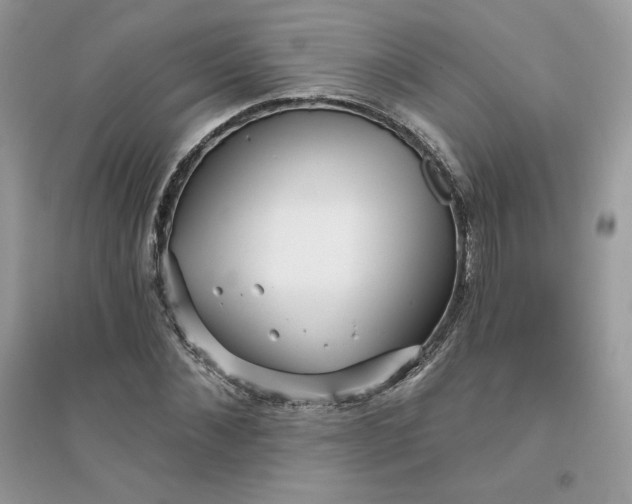 X0000096130876200802011145