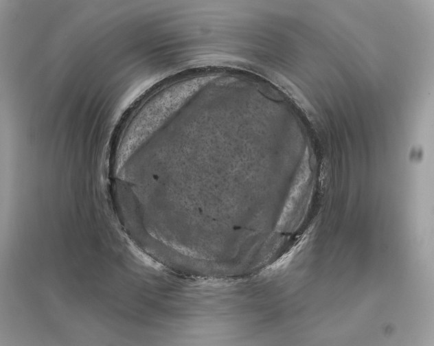 X0000096130877200802011145