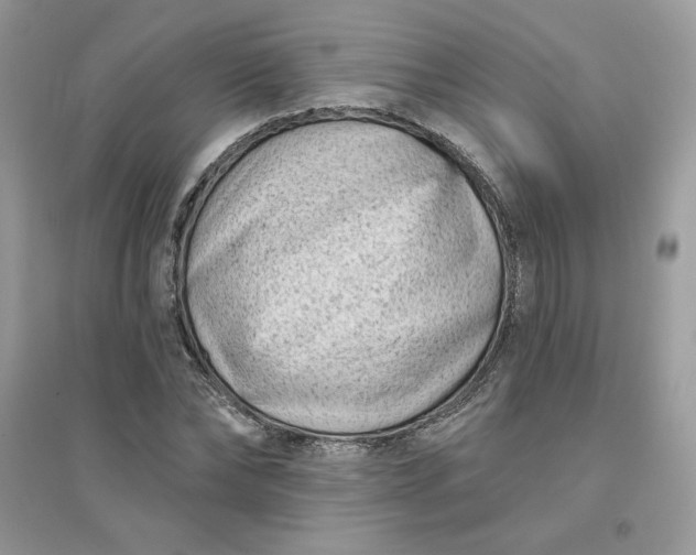 X0000096130878200802011145