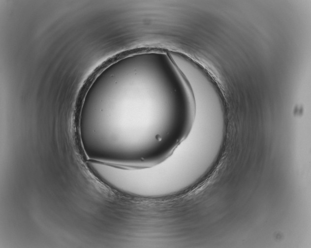 X0000096130880200802011145
