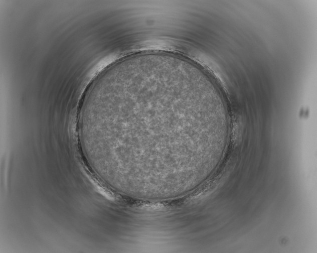X0000096130882200802011145