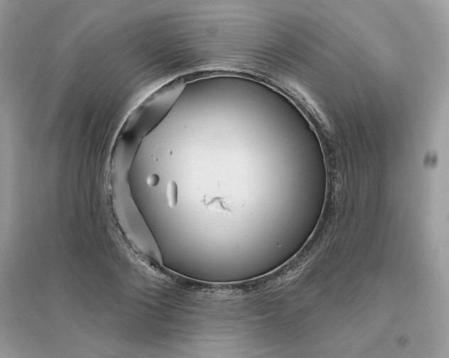 X0000096130884200802011145
