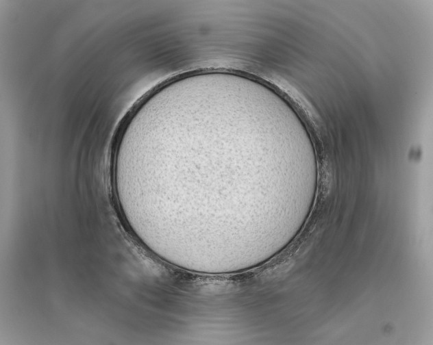 X0000096130886200802011145