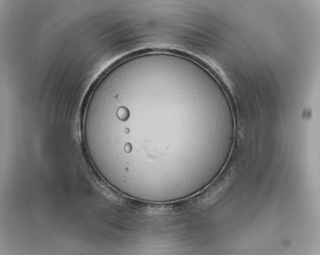 X0000096130887200802011145