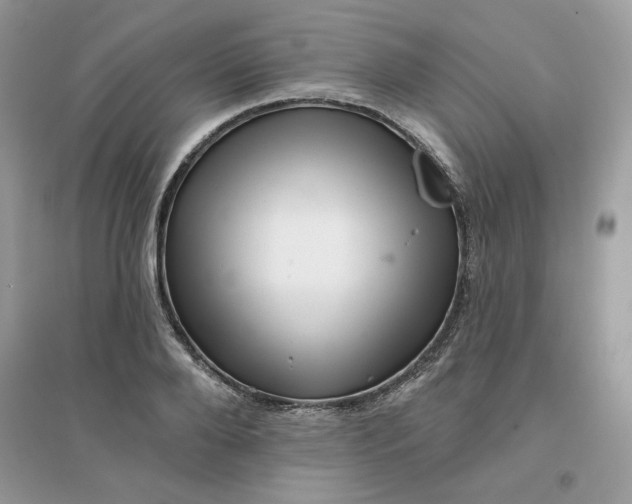 X0000096130888200802011145