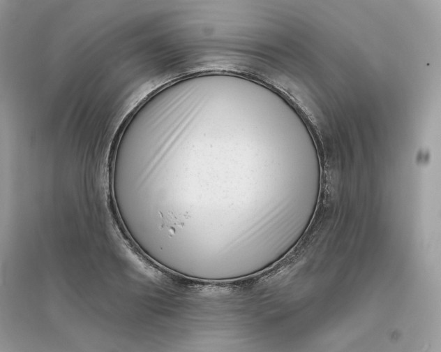 X0000096130890200802011145