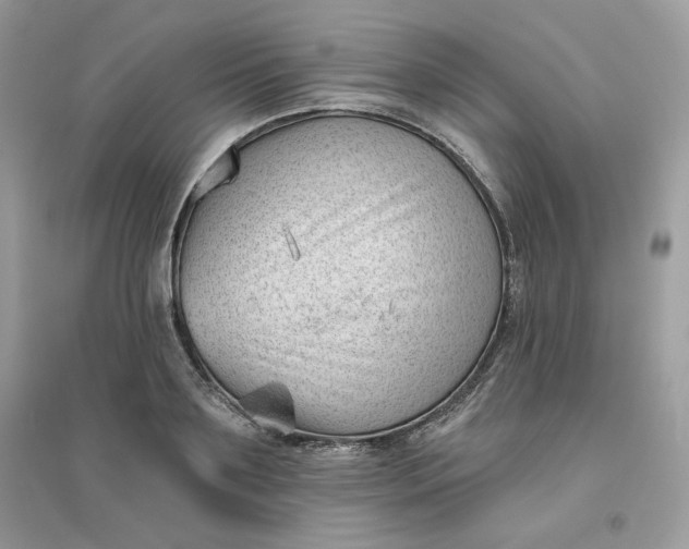 X0000096130891200802011145