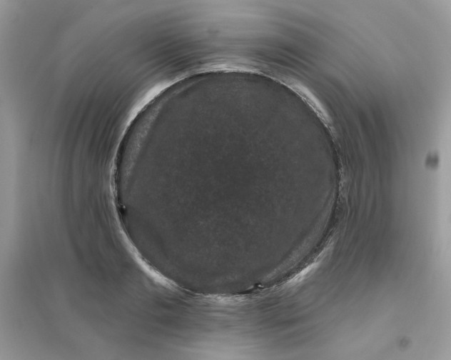 X0000096130893200802011145