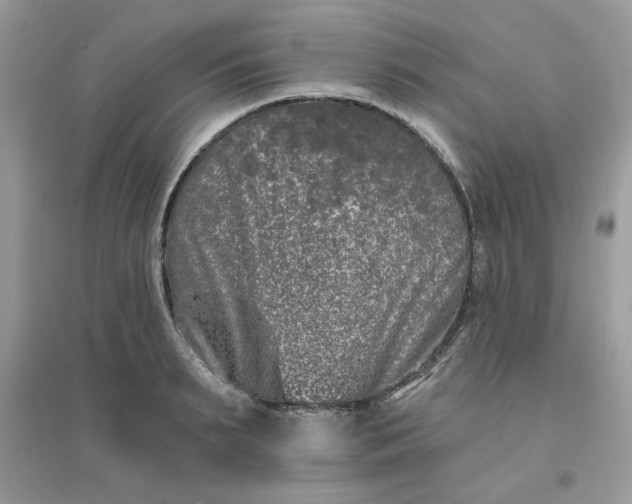 X0000096130895200802011145