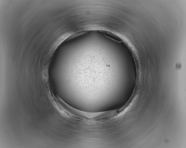 X0000096130897200802011145