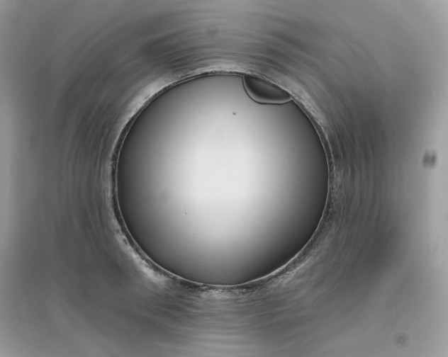 X0000096130898200802011145