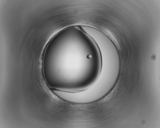 X0000096130900200802011145