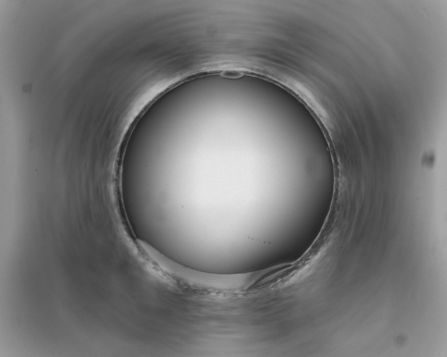 X0000096130901200802011145