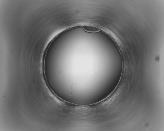 X0000096130902200802011145