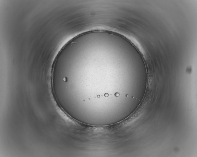 X0000096130903200802011145