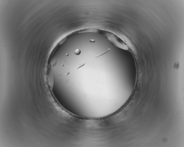 X0000096130904200802011145
