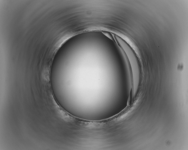 X0000096130905200802011145