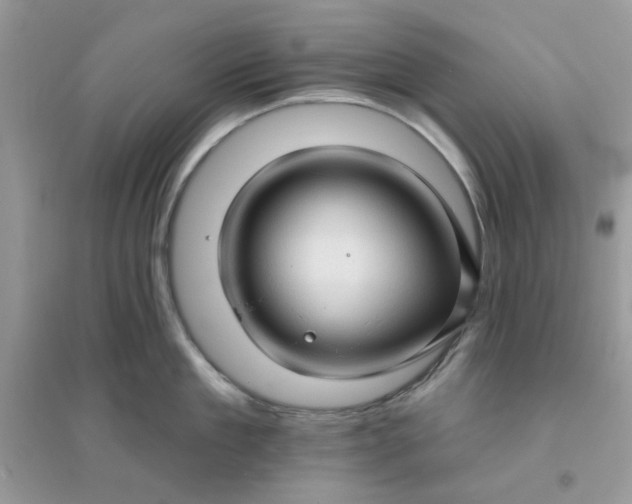 X0000096130909200802011145
