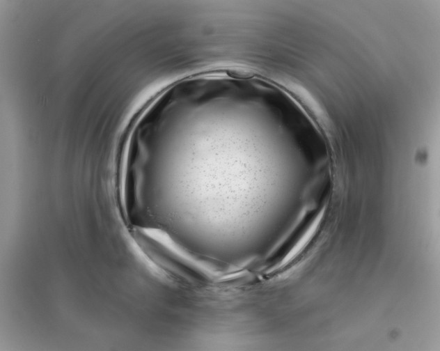 X0000096130910200802011145