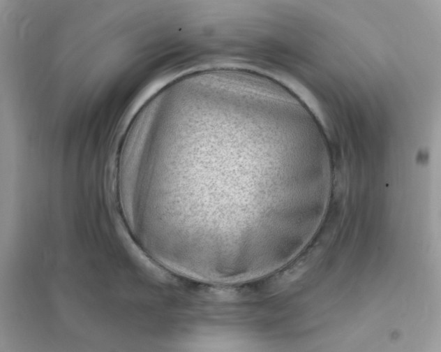 X0000096130911200802011145