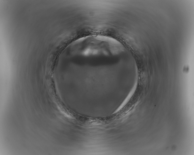 X0000096130913200802011144