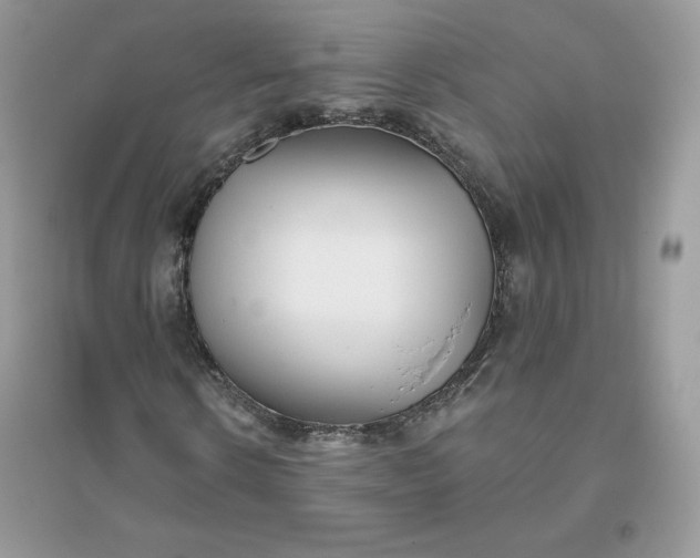 X0000096130914200802011144
