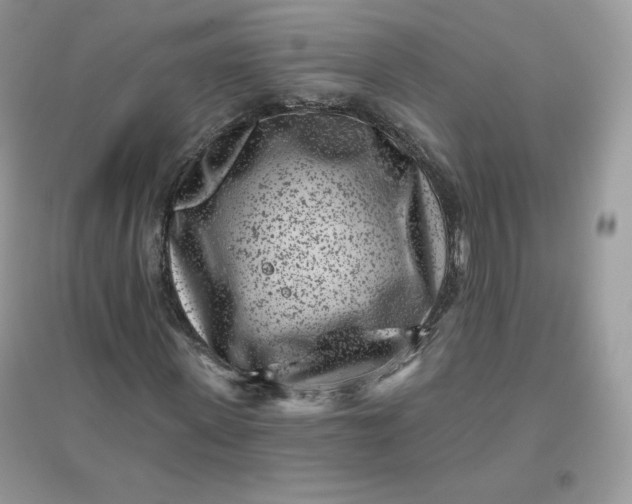 X0000096130915200802011144
