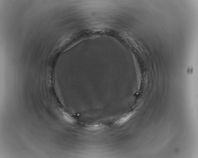 X0000096130916200802011144