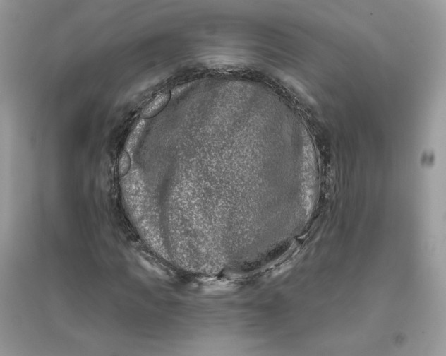 X0000096130917200802011144
