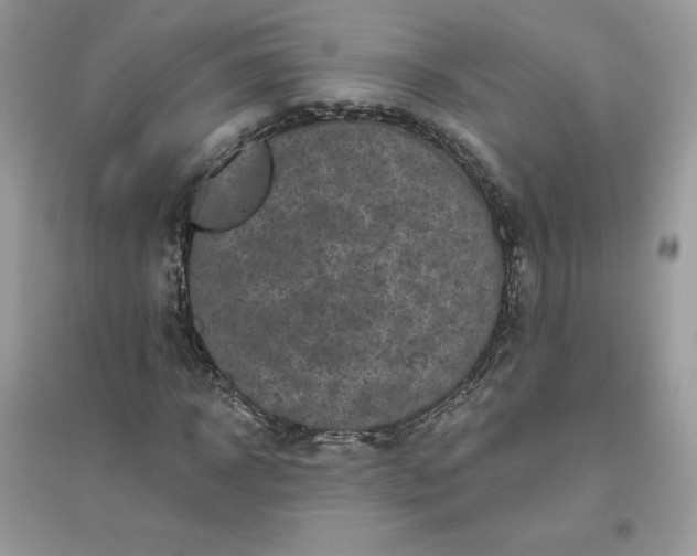 X0000096130918200802011144