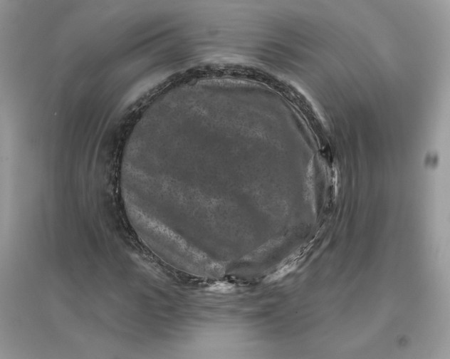 X0000096130919200802011144