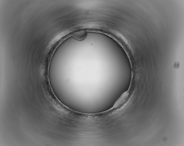 X0000096130922200802011144