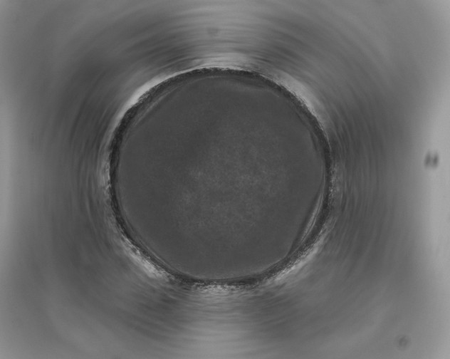 X0000096130923200802011144