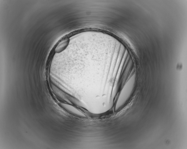 X0000096130924200802011144
