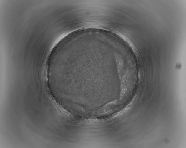 X0000096130925200802011144