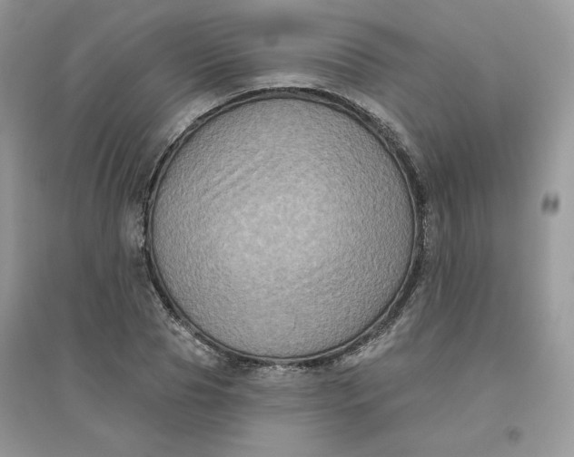 X0000096130929200802011144