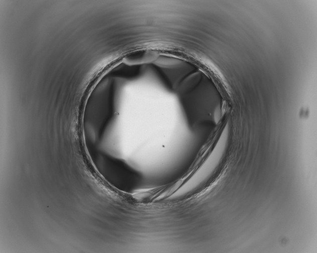 X0000096130930200802011144