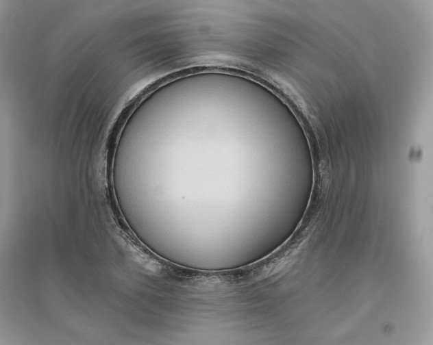 X0000096130931200802011144