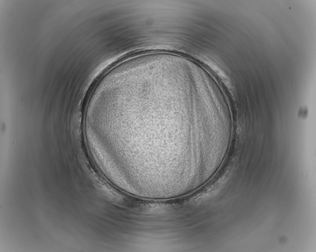 X0000096130933200802011144
