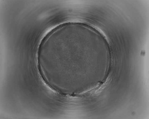 X0000096130935200802011144