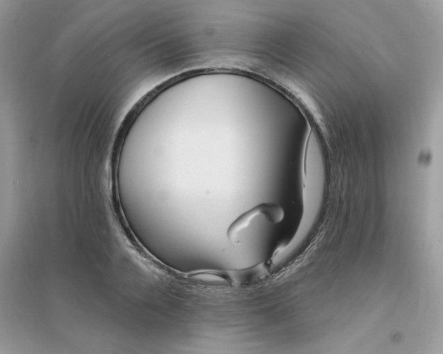 X0000096130936200802011144