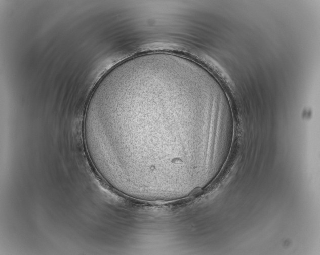 X0000096130937200802011144