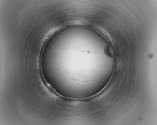 X0000096130938200802011144