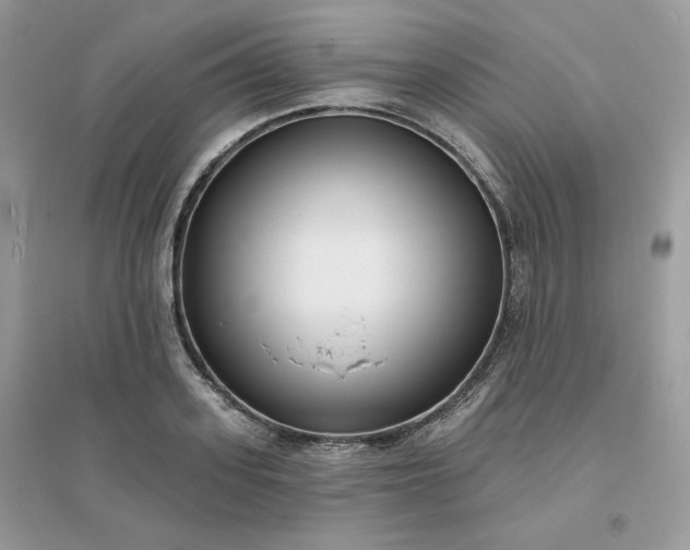 X0000096130939200802011144